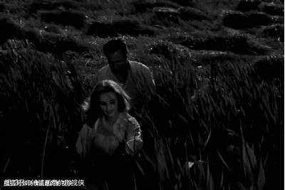《探索亚洲伦理影视：文化与道德的交融与碰撞》