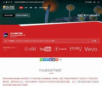 免费下载优质视频资源，畅享无限制内容分享平台！
