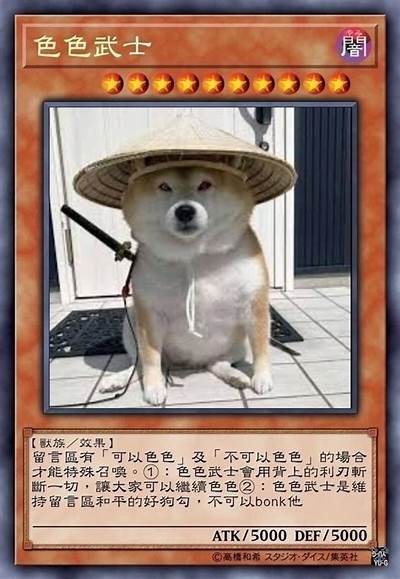 《色窝窝：探索多彩生活的艺术与美学》