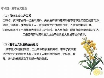 《探索无码专区的精彩世界：从理论到实践的全面解析》